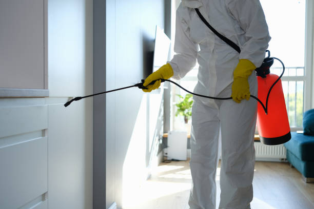 Best Commercial Mold Remediation in Amherst, TX