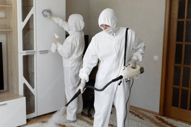 Best Bathroom Mold Remediation in Amherst, TX