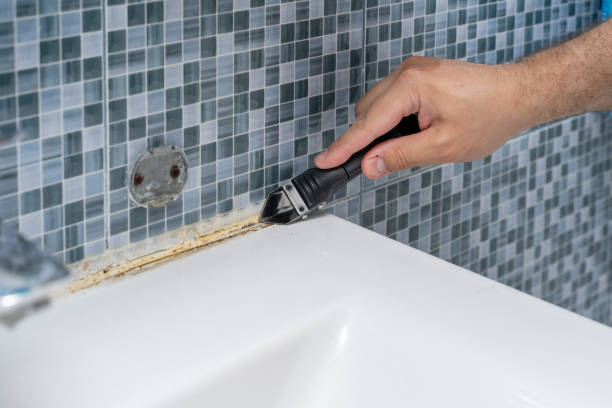  Amherst, TX Mold Removal Pros