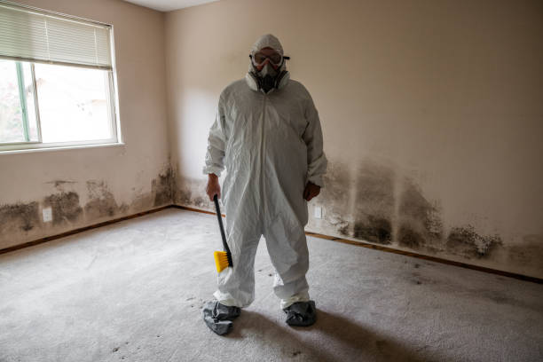 Trusted Amherst, TX Mold Remediation Experts